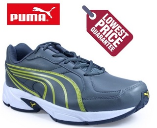 puma3.jpg