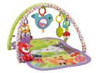 Fisher-Price 3-in-1 Musical Activity Gym, Multi Color