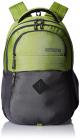 American Tourister Encarta Lime Laptop Backpack