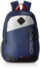 Gear 21 Ltrs Blue Casual Backpack (MDBKPECO50504)