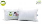 Recron Certified Dream Fibre Pillow - 43 cm x 69 cm, Pack of 2, White