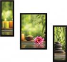 SAF Lotus Nature Set of 3 Digital Reprint 13.5 inch x 22 inch Painting