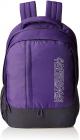 American Tourister 25 Ltrs Purple Casual Backpack