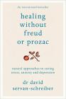 Healing Without Freud or Prozac Paperback