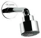 Oleanna OHS-17 Chome Finish Overhead Shower with Shower Arm and Wall Flange (Medium, Silver)