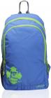 F Gear  Castle Rugged Base 24 L Standard Backpack  (Green, Blue)