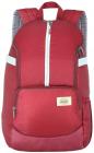 American Tourister Copa 22 Ltrs Red Casual Backpack