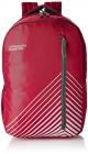 United Colors of Benetton 22 Ltrs Red Casual Backpack (0IP6COLBPRG2I)