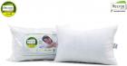 Recron Certified Dream Fibre Pillow - 43 cm x 69 cm, Pack of 2, White