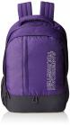 American Tourister Purple Casual Backpack