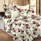 Story@Home Floral 100% Cotton Double Bedsheet With 2 Pillow Covers