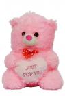 Jack Royal Stuffed Spongy Heart Teddy Bear Plush Soft Toy (Pink - 45 cm)