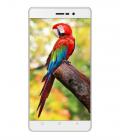 Karbonn Titanium S205 (16GB, Golden White)