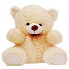 CLICK4DEAL Soft 2 Feet Long Teddy Bear - 60 Cm -Cream