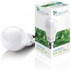 Syska SSK-SRL-9W B22 9-Watt LED Bulb (Cool Day Light)