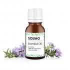 Amazon Brand - Solimo Rosemary Essential Oil, 100% Pure & Natural, 15 ml